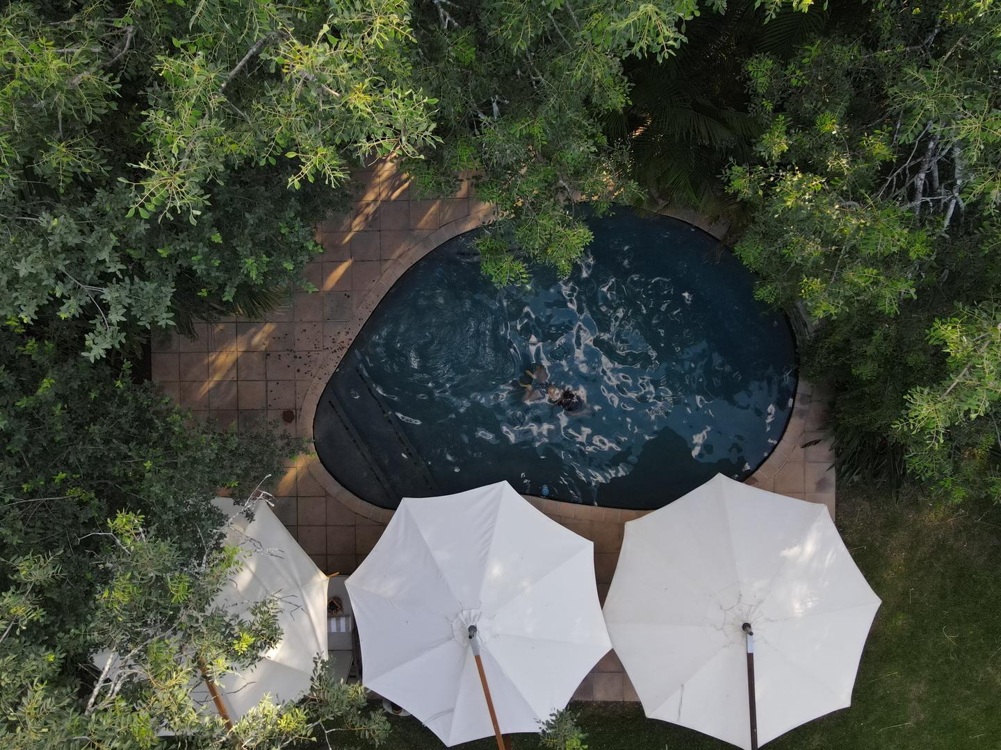 Savanna Private Lodge - Sabi Sands Game Reserve - Kruger National Park 46 Main lodge pool