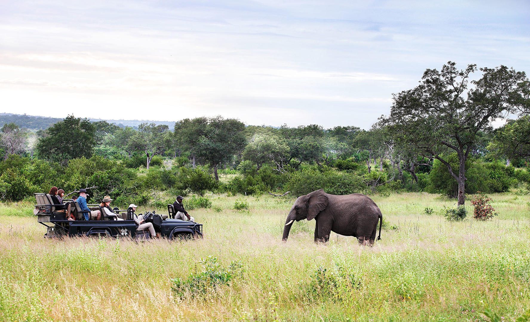 Varty Camp at Londolozi - Sabi Sands - Kruger National Park 91 On safari at Londolozi