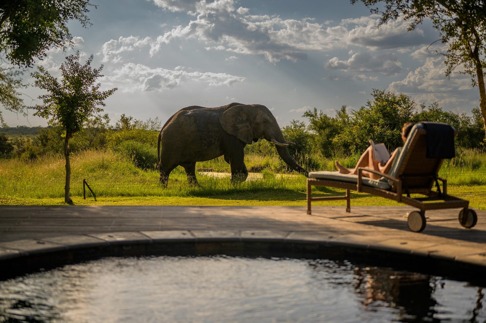 Savanna Private Lodge - Sabi Sands Game Reserve - Kruger National Park 85 Private Heated Plunge pool