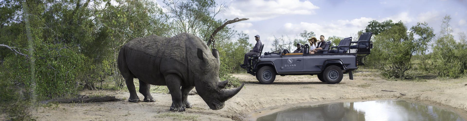 Silvan Safari Lodge - Sabi Sands Game Reserve - Sabi Sands Lodges Reservations - Bookings 84 Silvan Safari