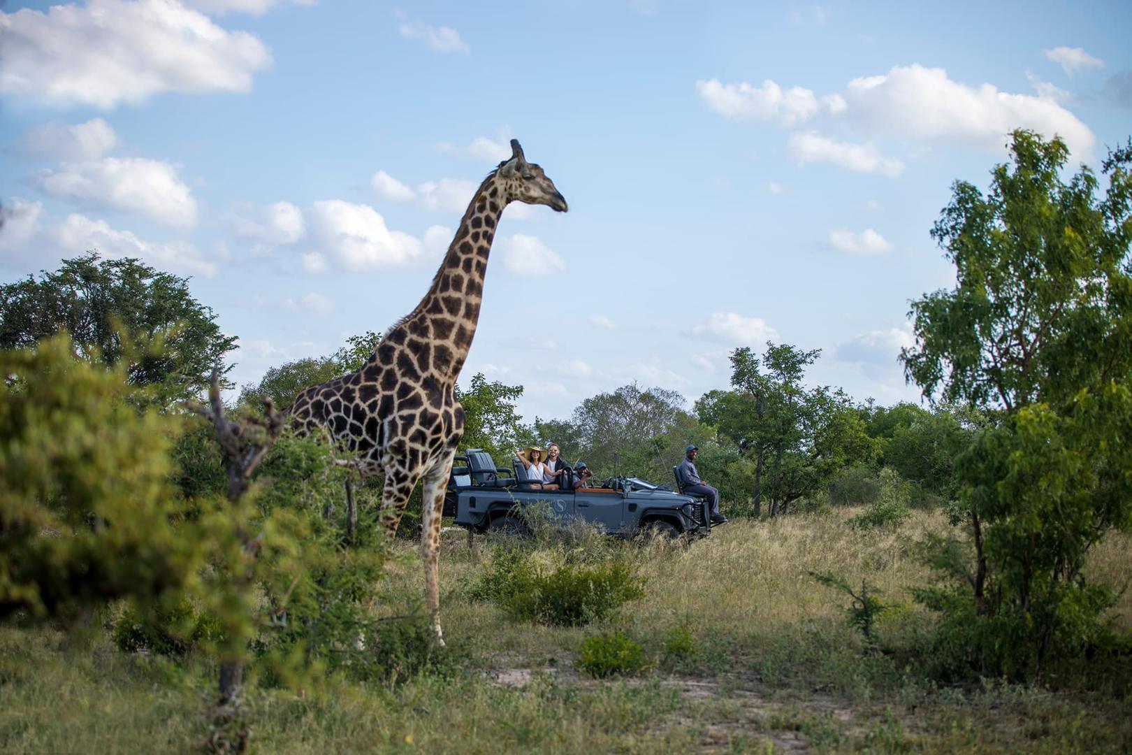 Silvan Safari Lodge - Sabi Sands Game Reserve - Sabi Sands Lodges Reservations - Bookings 85 Silvan