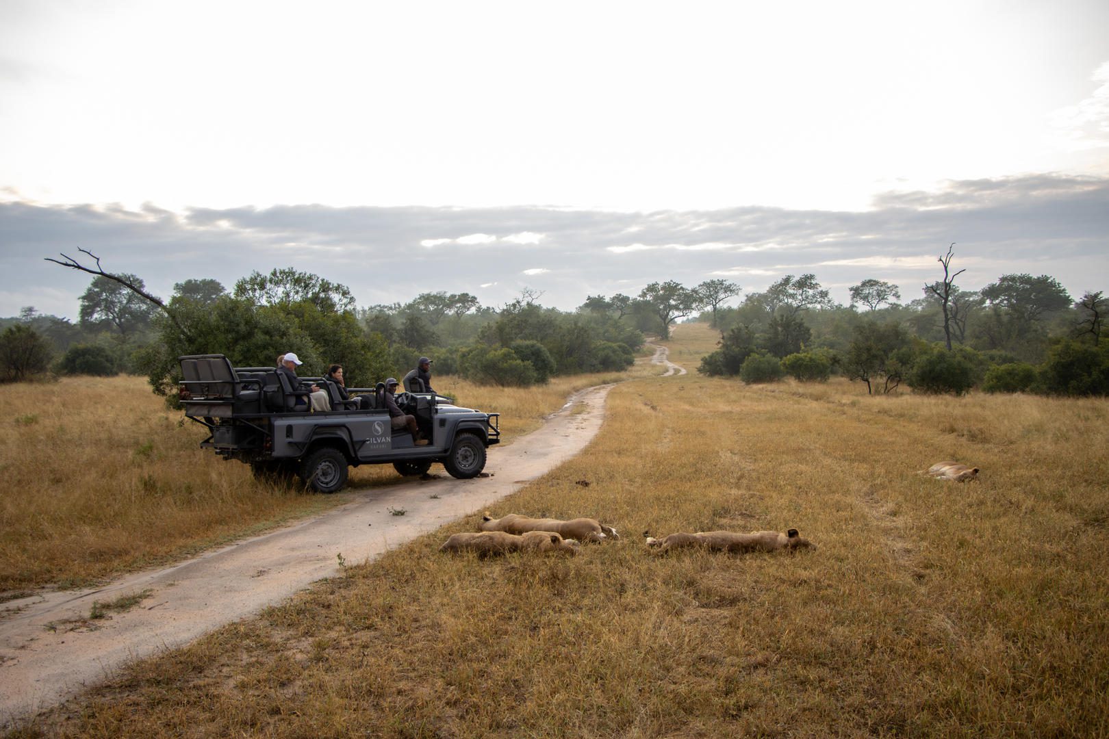 Silvan Safari Lodge - Sabi Sands Game Reserve - Sabi Sands Lodges Reservations - Bookings 87 Silvan