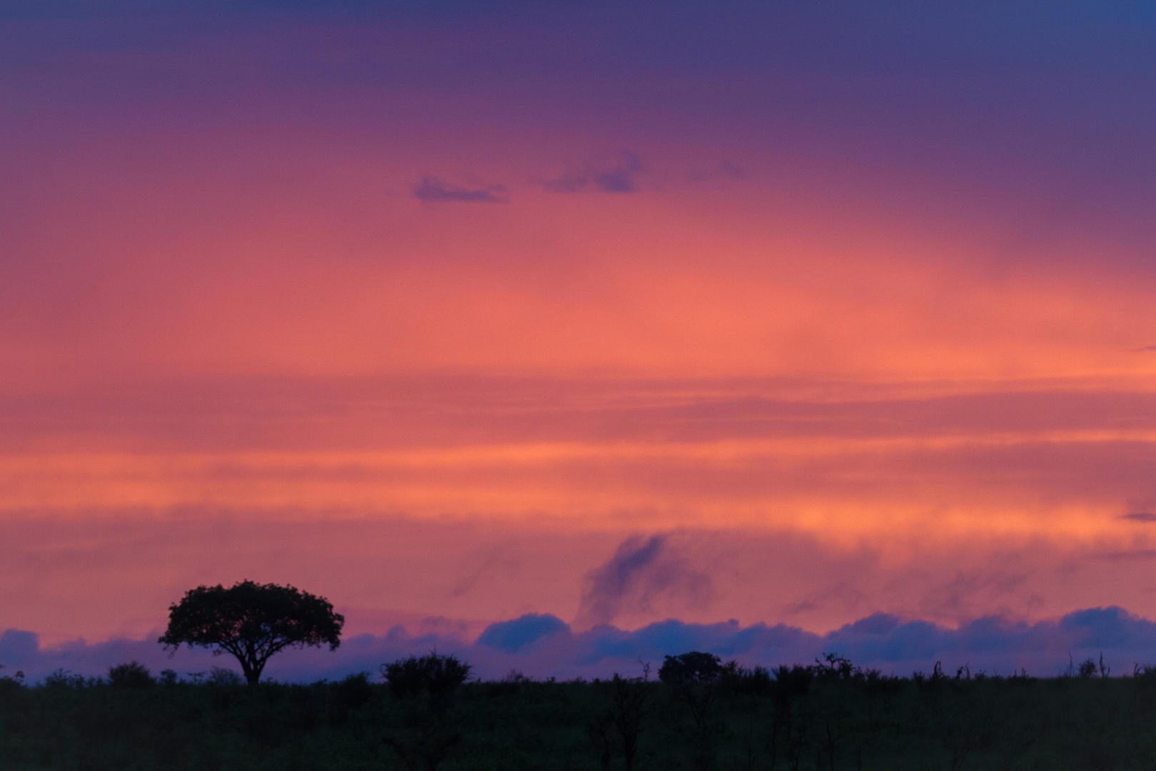 Varty Camp at Londolozi - Sabi Sands - Kruger National Park 10 Summer sunsets