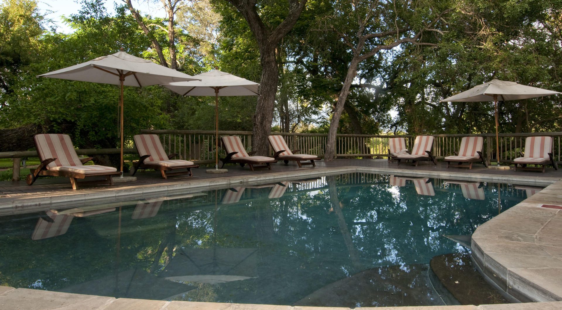 Sabi Sabi Selati Camp - Sabi Sands - Kruger National Park 13 Swimming pool