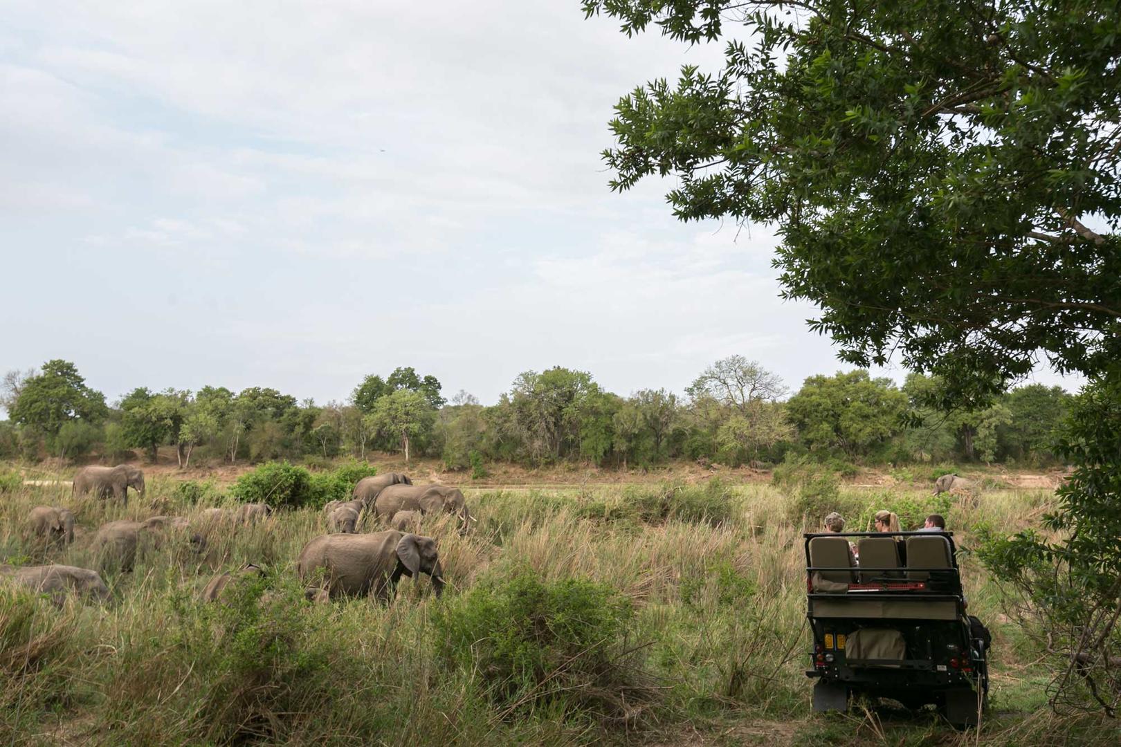 elephantdrive umkumbe emgatland