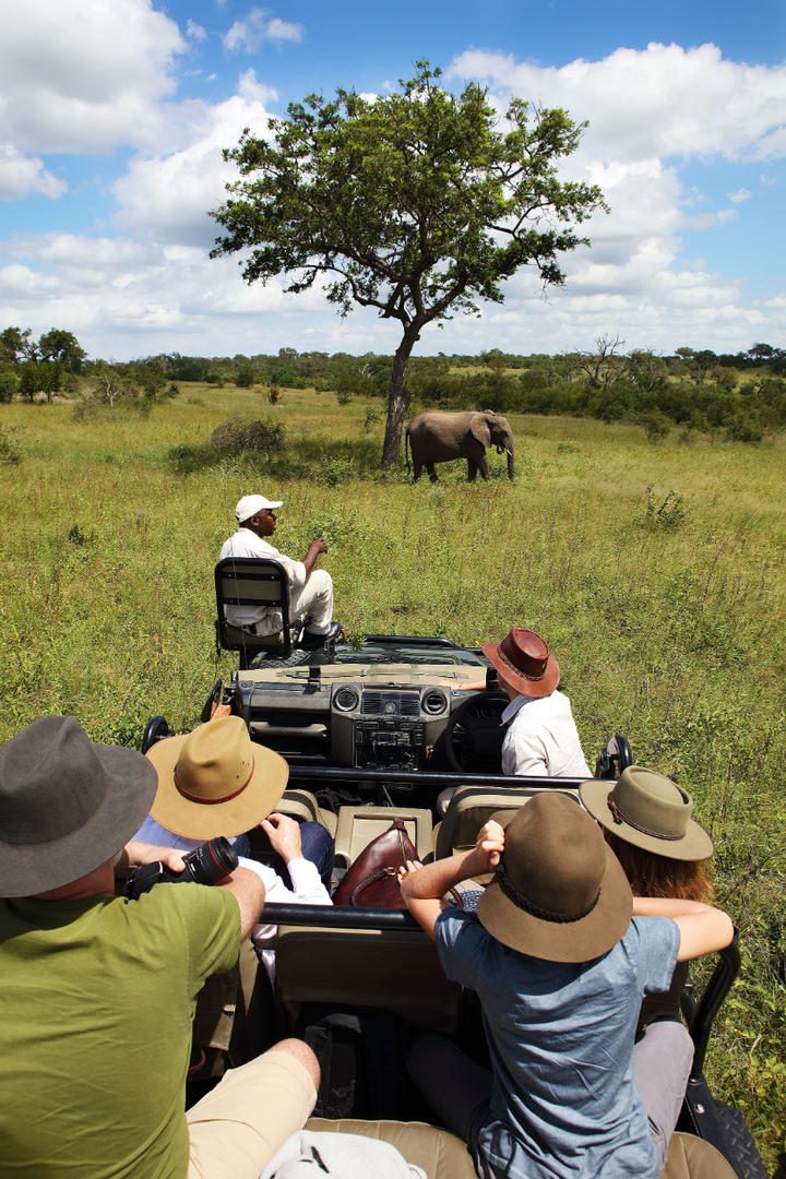 Varty Camp at Londolozi - Sabi Sands - Kruger National Park 89 lg elephant