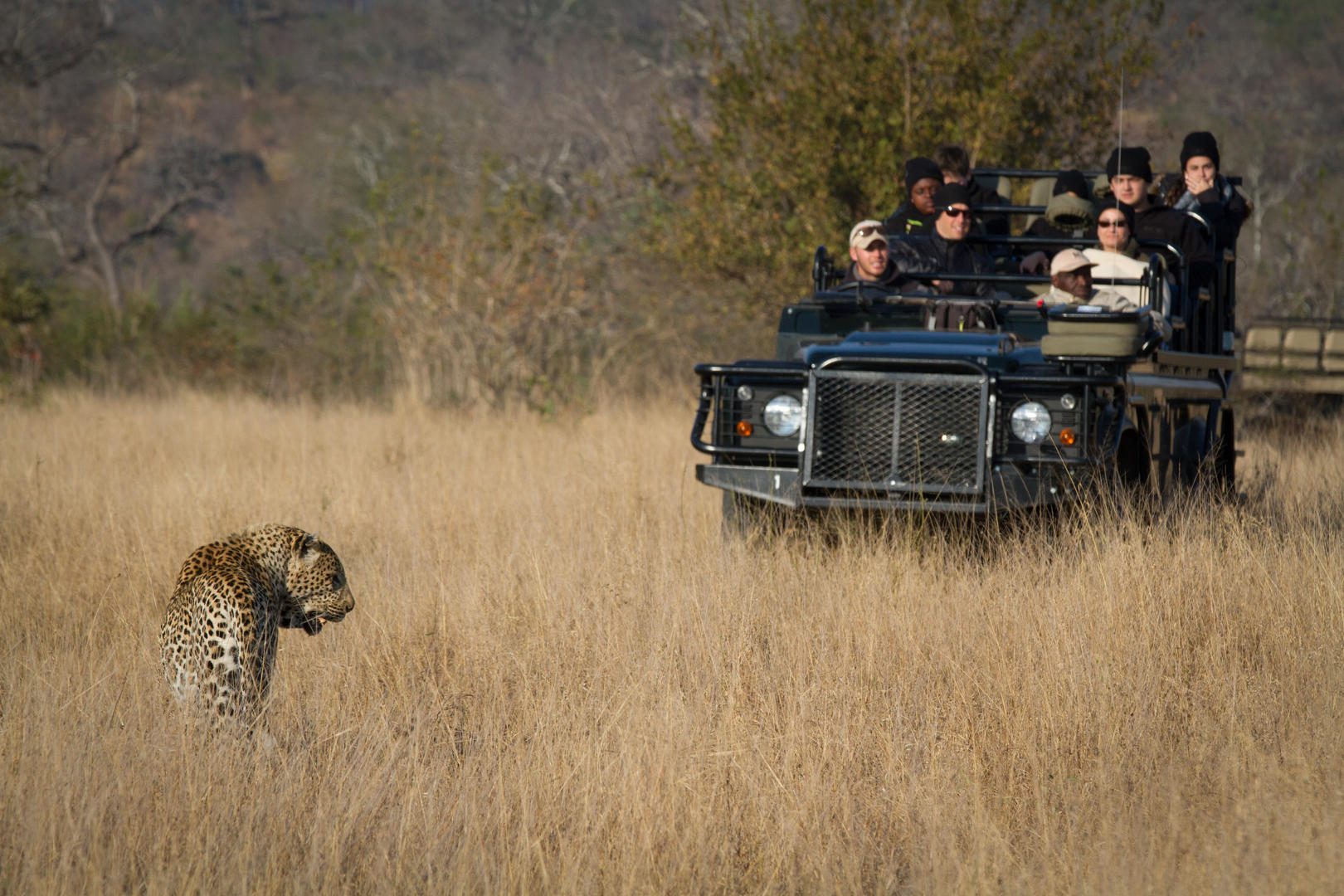 Londolozi Founders Camp - Sabi Sands Game Reserve - Kruger National Park 99 mg