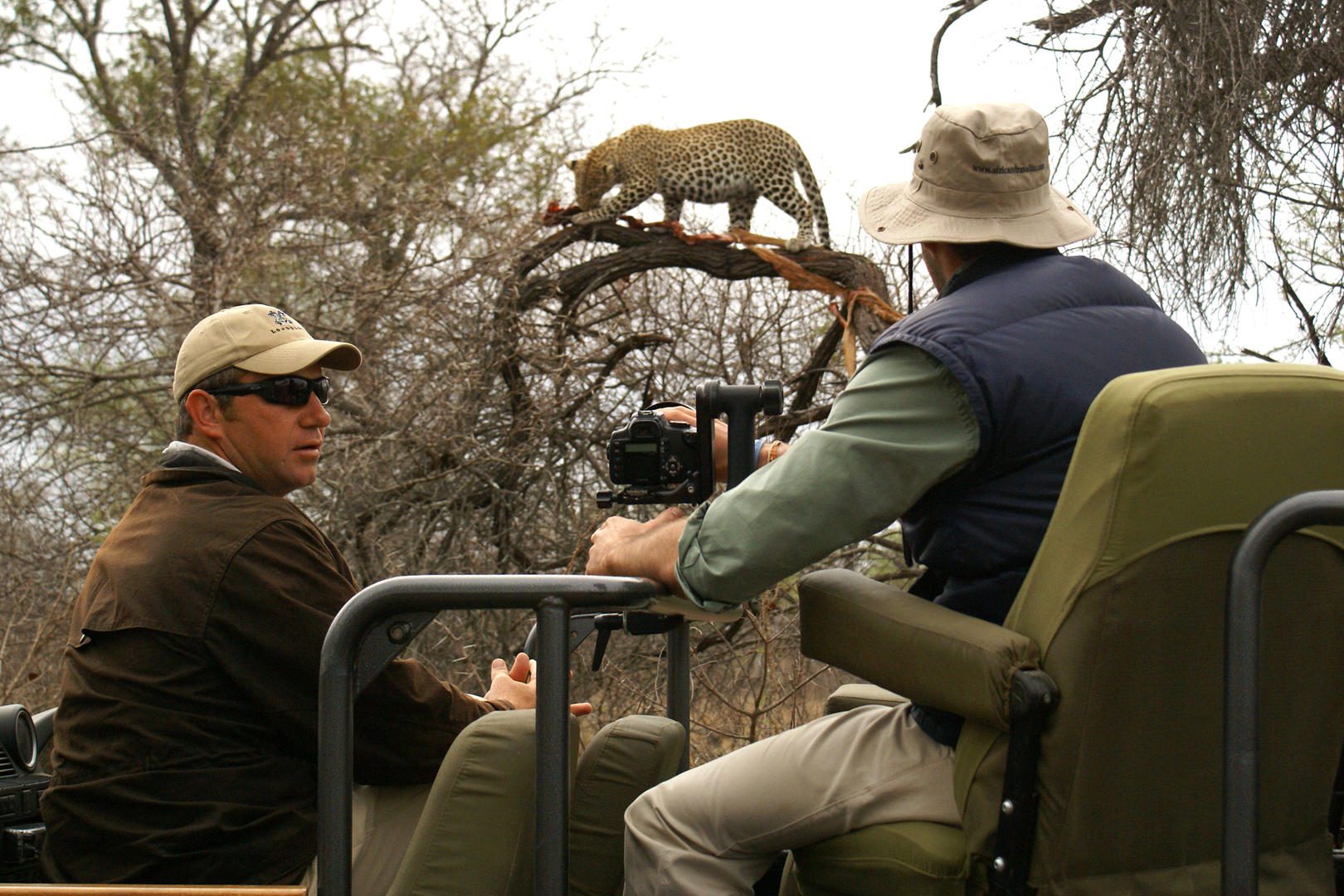 Londolozi Pioneer Camp - Sabi Sands Game Reserve - Kruger National Park 122 ranger interpreting leopard