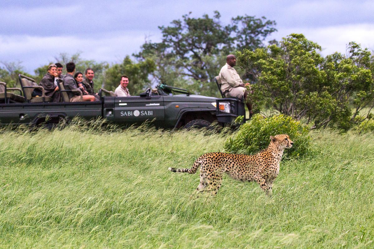 Sabi Sabi Little Bush Camp - Sabi Sands Game Reserve - Sabi Sands Lodges Reservations 49 safari