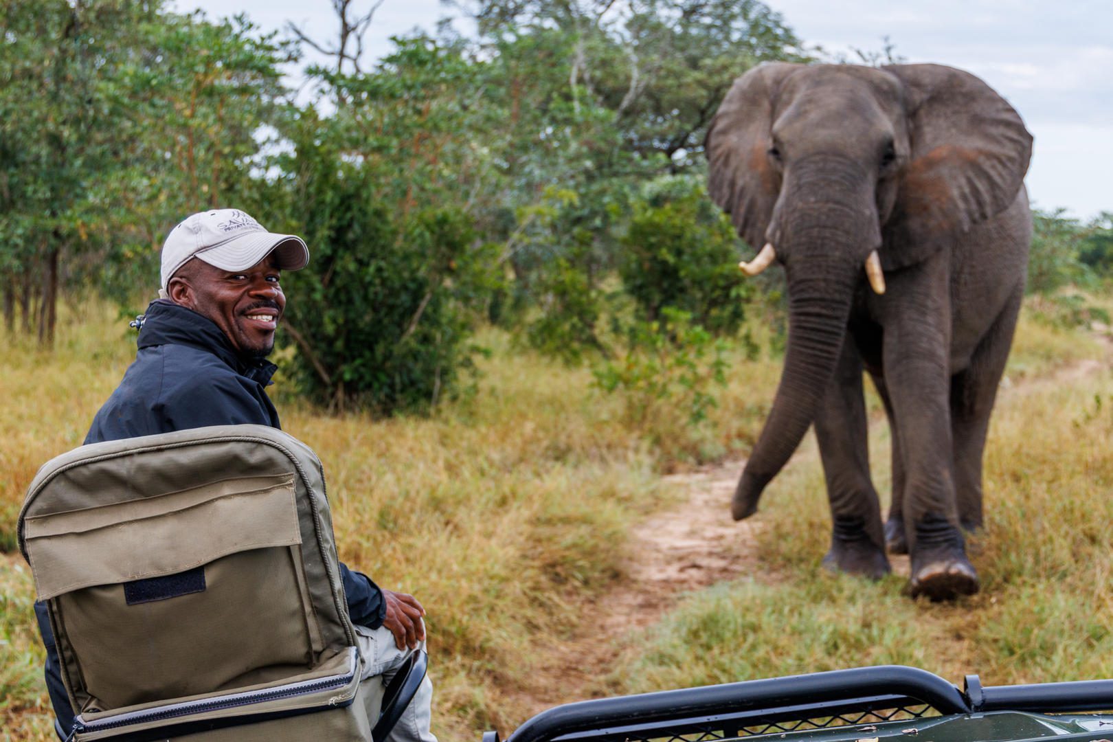 Savanna Private Lodge - Sabi Sands Game Reserve - Kruger National Park 86 savanna tracker and elephant