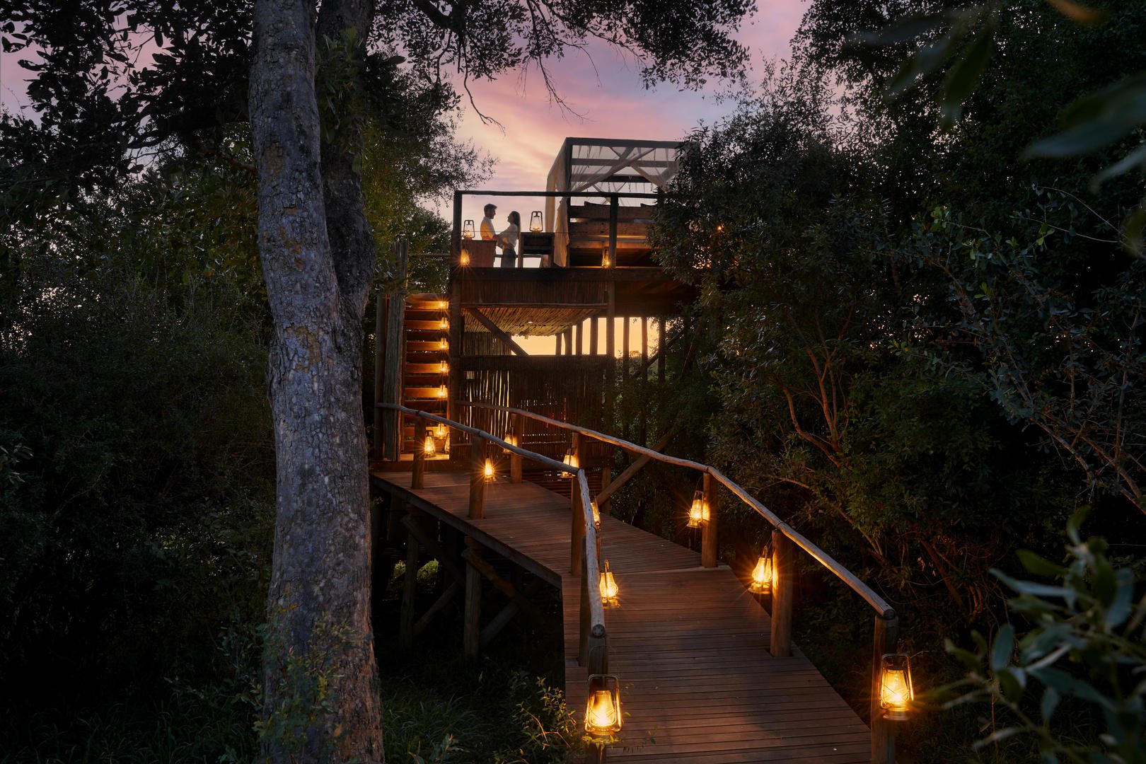 tinyeleti treehouse hero