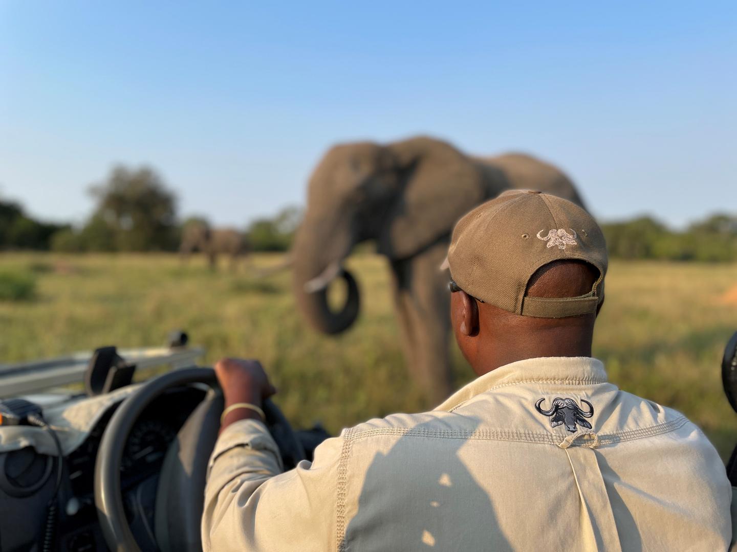 Inyati Game Lodge - Sabi Sands Game Reserve - Kruger National Park 83 Inyati Game Lodge Wildlife ()