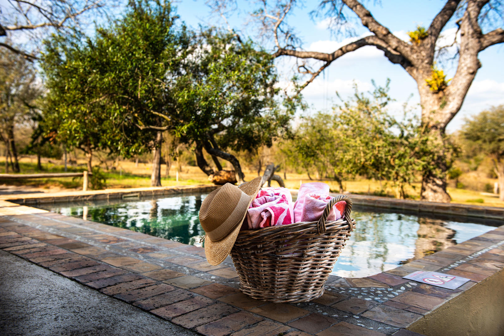 Jaci's Sabi House - Sabi Sands Game Reserve - Reservations 43 Jacis Sabi House ()