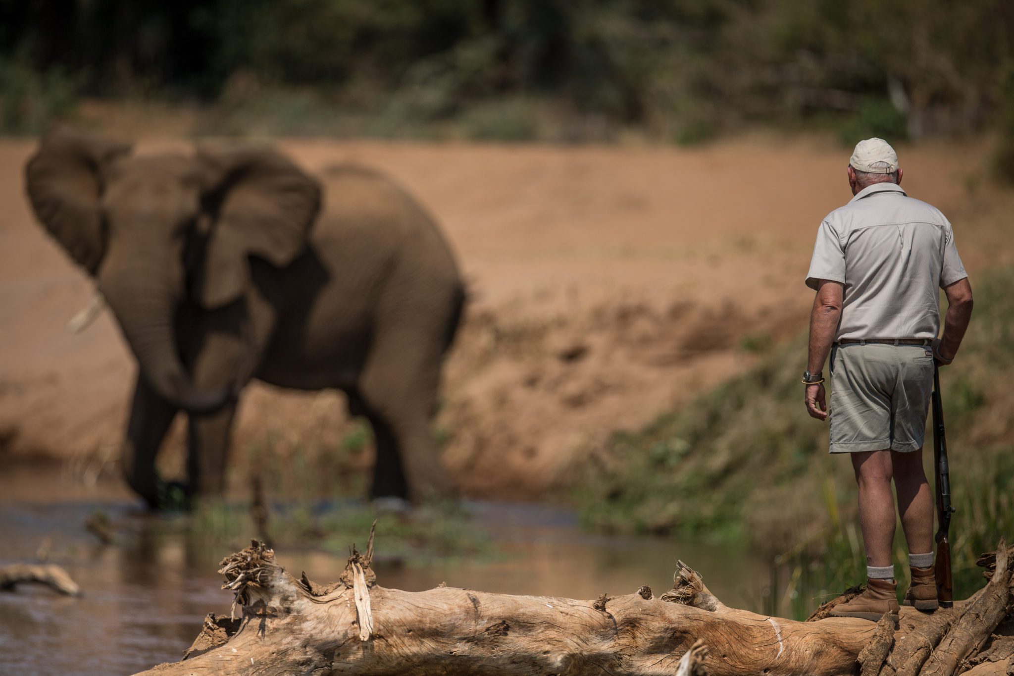 Sabi Sands Accommodation: Sabi Sands Lodges Reservations & Bookings