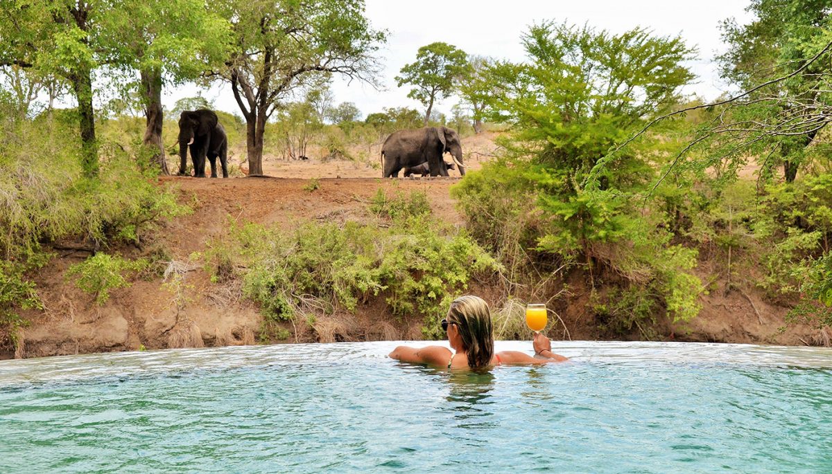 Imbali Safari Lodge – Kruger National Park – South Africa
