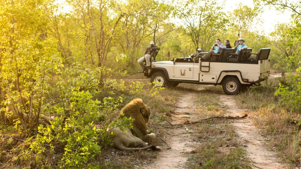 Sabi Sands Accommodation - Luxury Safari Lodges - Sabi Sands Game Reserve - Kruger National Park - South Africa 59 Chitwa Chitwa Safari Lodge 31