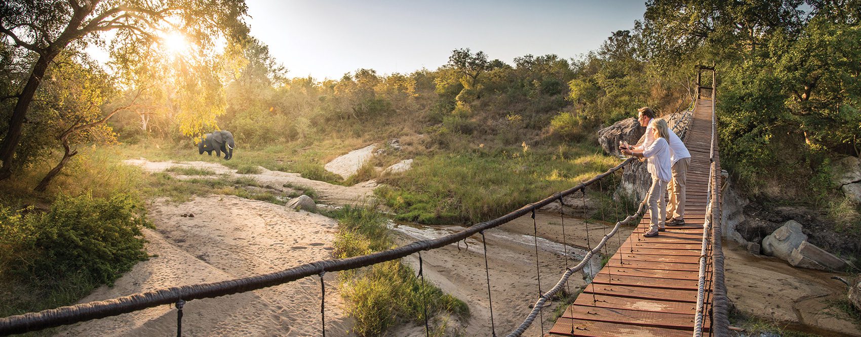 The Dulini Collection – Sabi Sands Game Reserve – Kruger National Park – South Africa