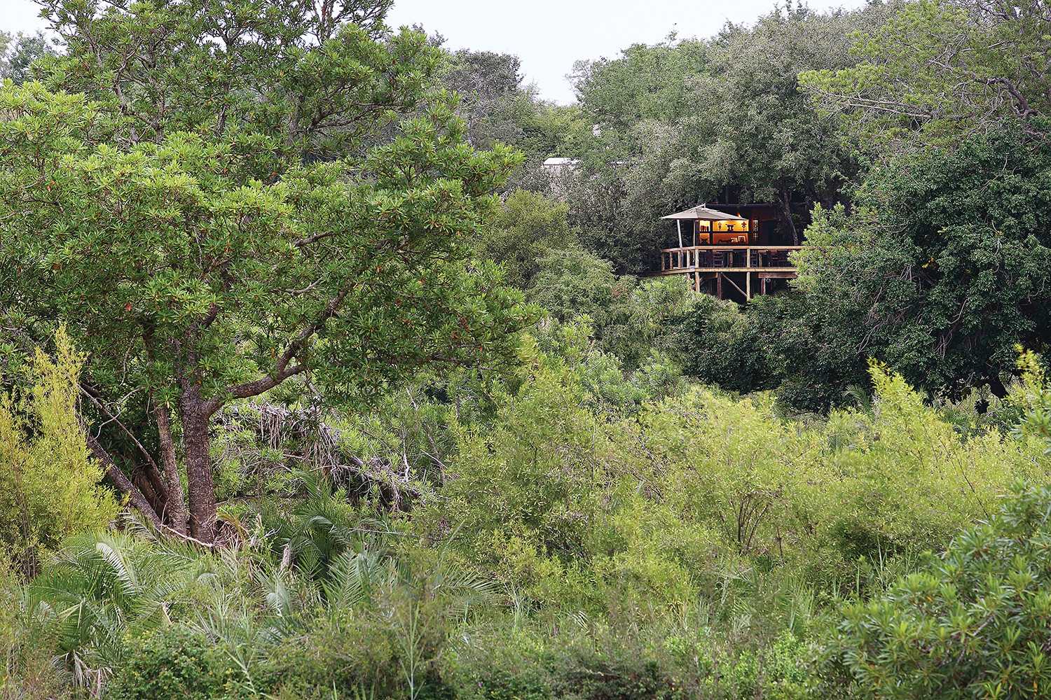 Londolozi Tree Camp – Sabi Sands Game Reserve – Sabi Sands Lodges Reservations – Kruger National Park
