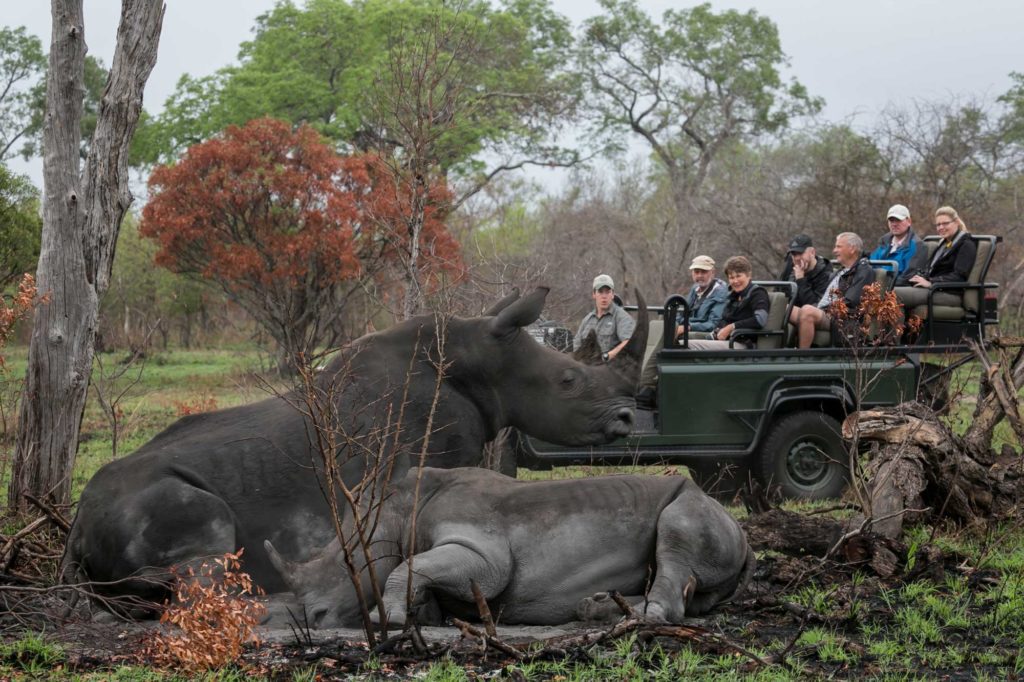 Sabi Sands Accommodation - Luxury Safari Lodges - Sabi Sands Game Reserve - Kruger National Park - South Africa 62 Umkumbe Safari Lodge 13 1