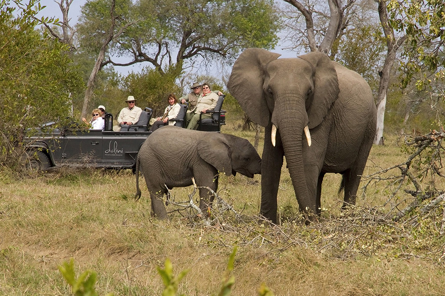 Dulini private game reserve images 21