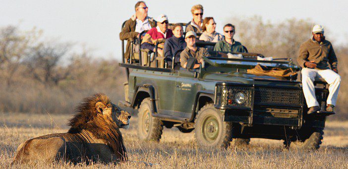 Cape Town and Sabi Sands – 8 Day Family Safari – South Africa