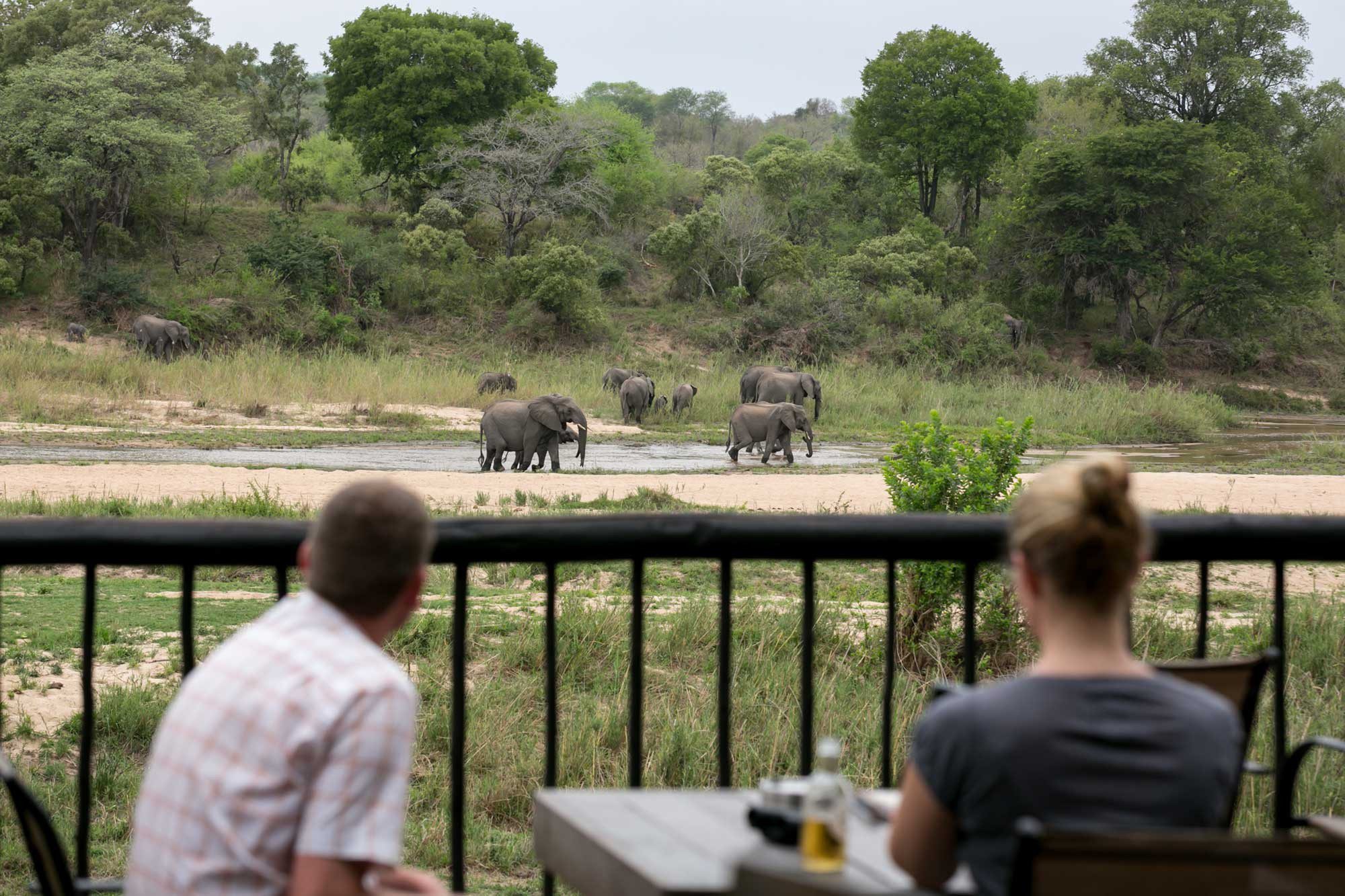 5 Day Kruger Park & Sabi Sands Safari Combination – Sabi Sands Game Reserve