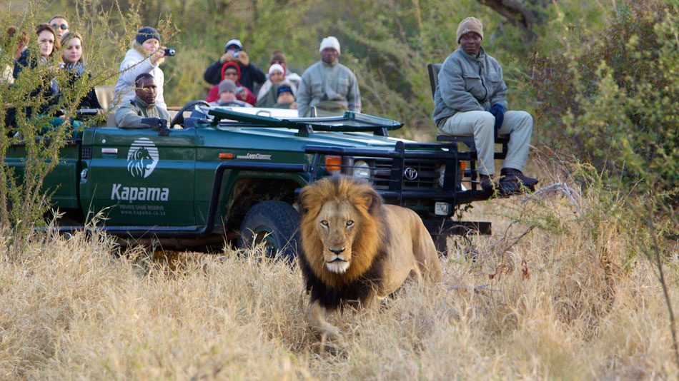 Kapama River Lodge – 3 Day Classic Safari – Kruger National Park
