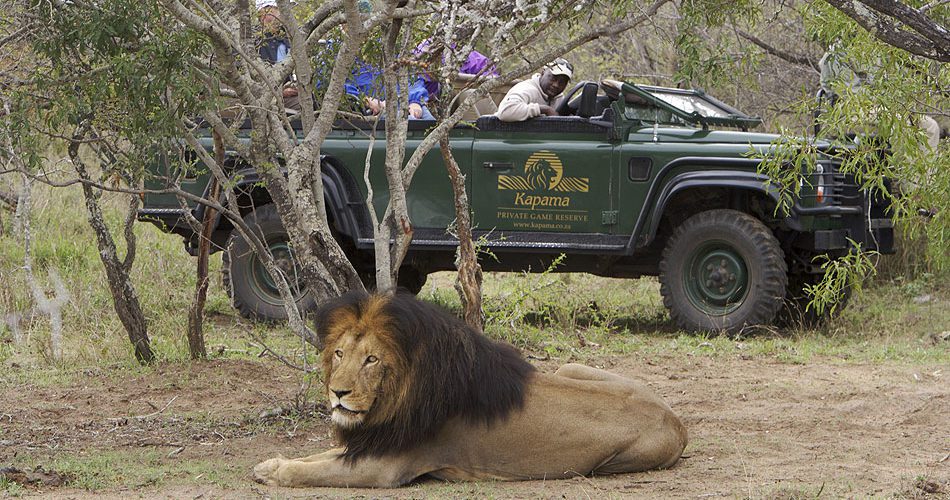 3 Day Kapama Classic Safari – Kruger Big Five Experience