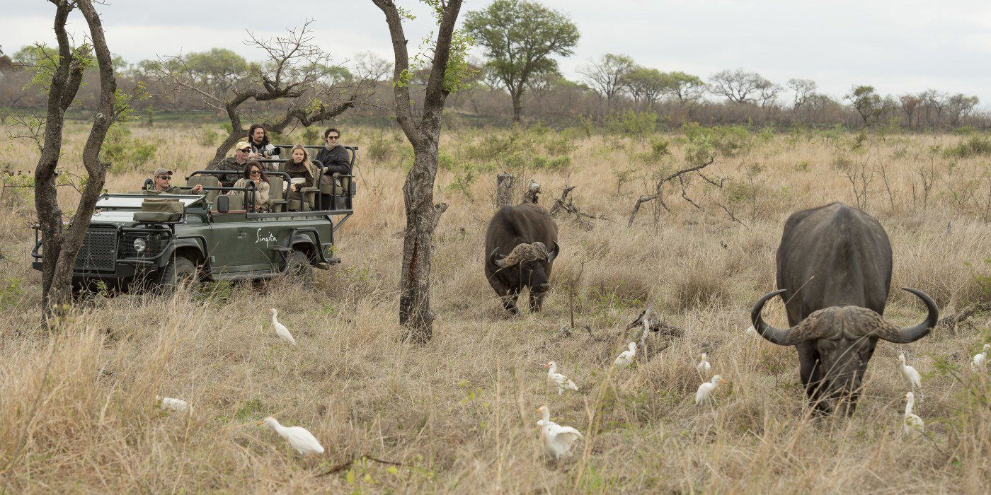 Singita Ebony Lodge Images 11
