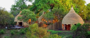 Hoyo Hoyo Safari Lodge Kruger Park4