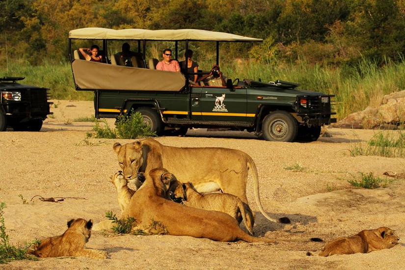 Jock safari lodge kruger national park 3