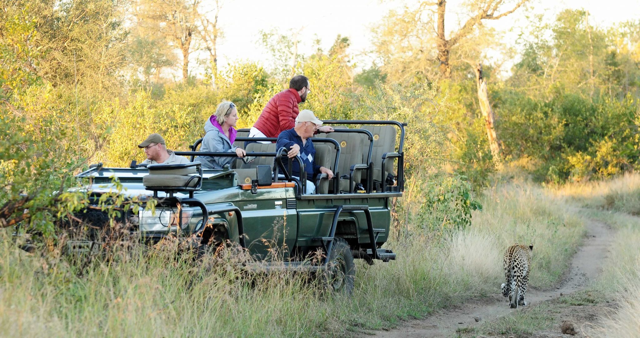 3 Day Kruger Park & Sabi Sands Safari Experience – Sabi Sands Game Reserve
