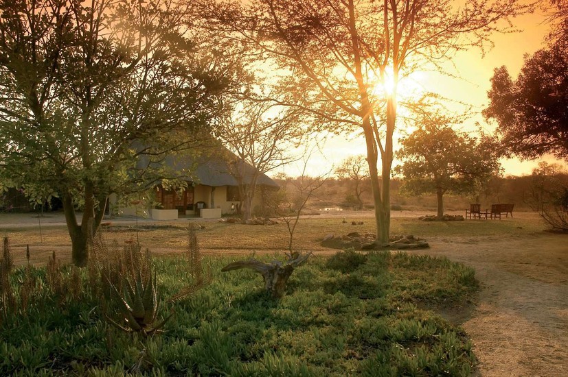 kambaku safari lodge 7