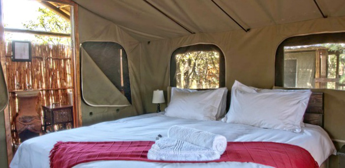 shindzela tented safari camp 1