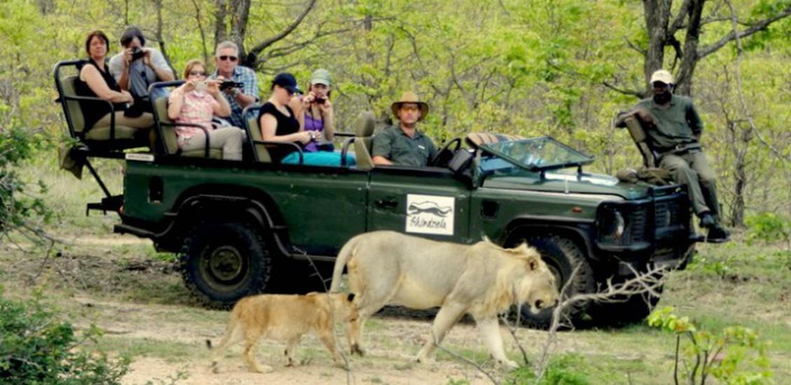 shindzela tented safari camp 4