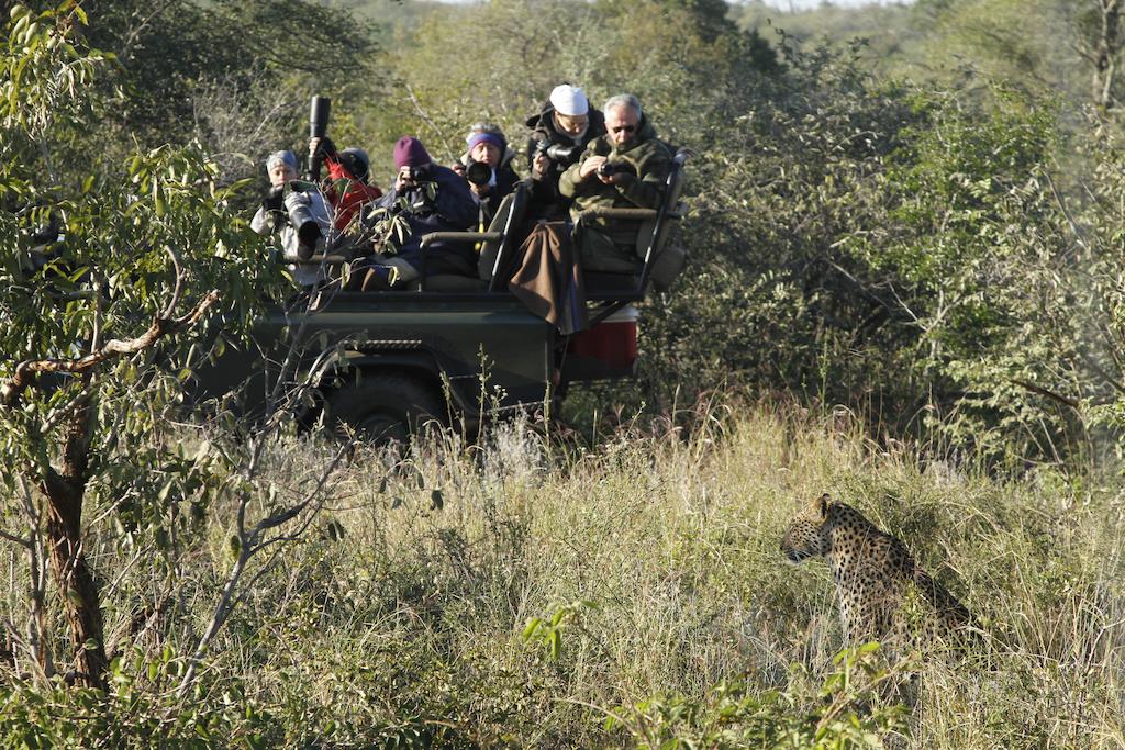 umlani bush camp game drive leopard