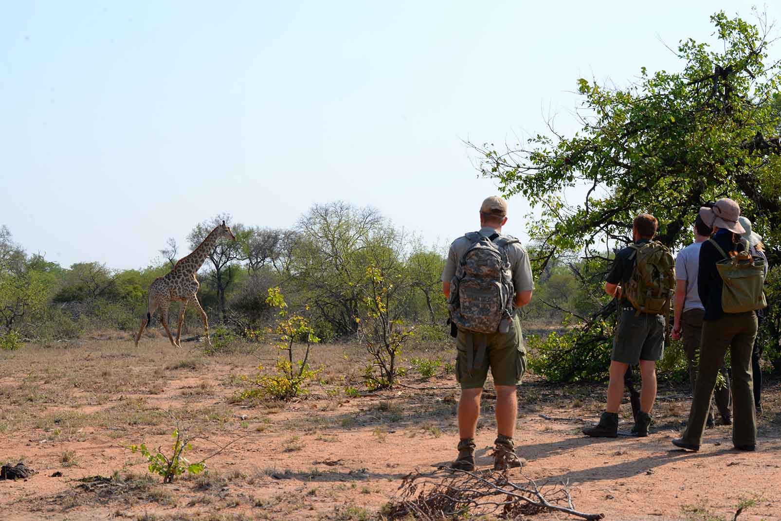 africa on foot lodge 29