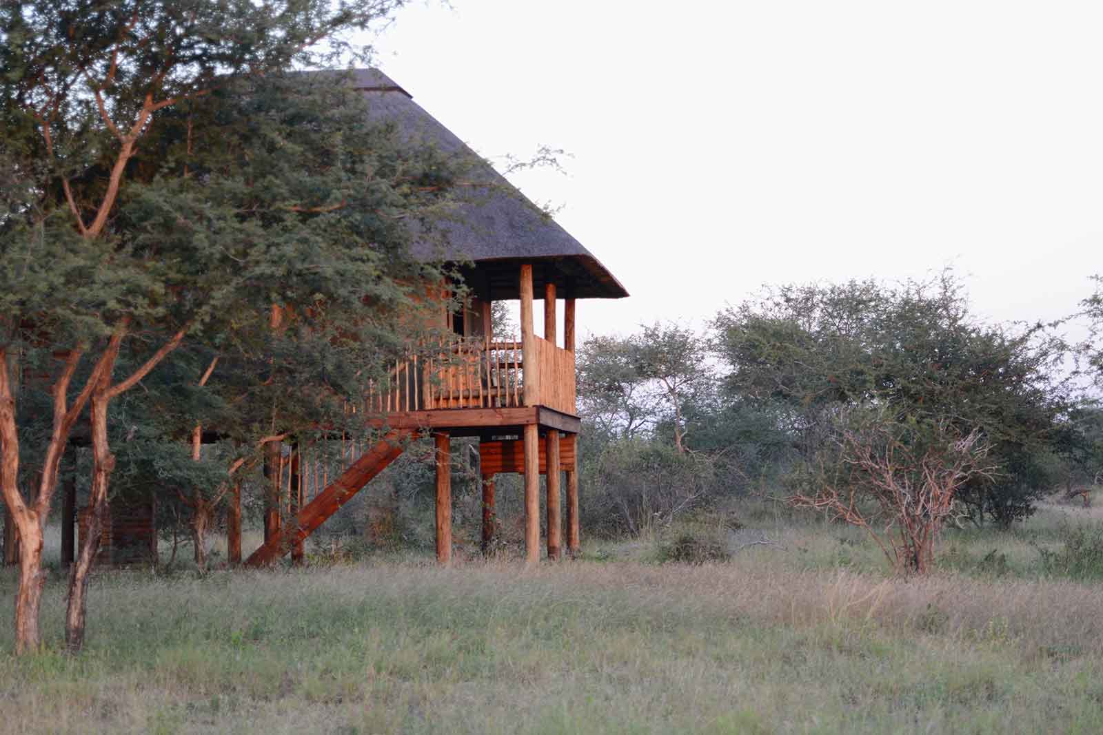 nThambo Tree Camp – Kruger Private Reserves