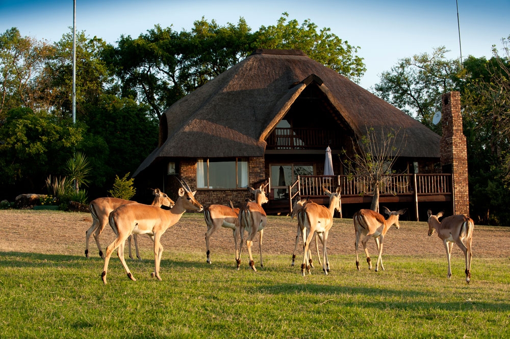 Kruger Park Lodge – Kruger National Park Accommodation – South Africa