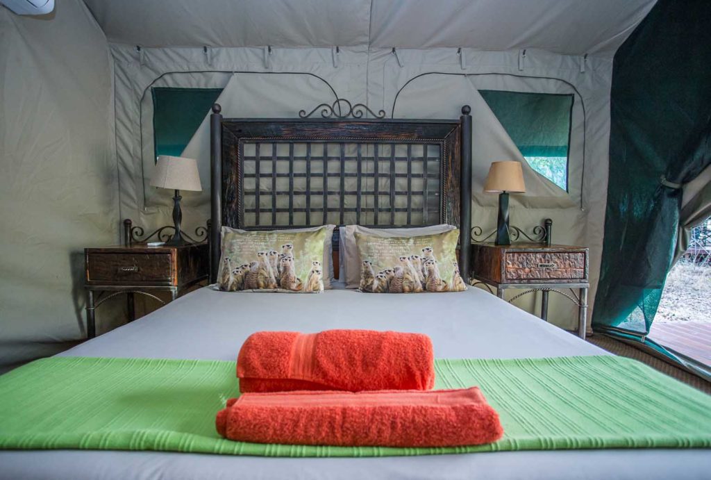 4 Day Kruger Park & Sabi Sands Safari Experience – Sabi Sands Game Reserve