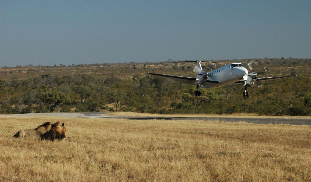 Flights Sabi Sands Game Reserve fedair