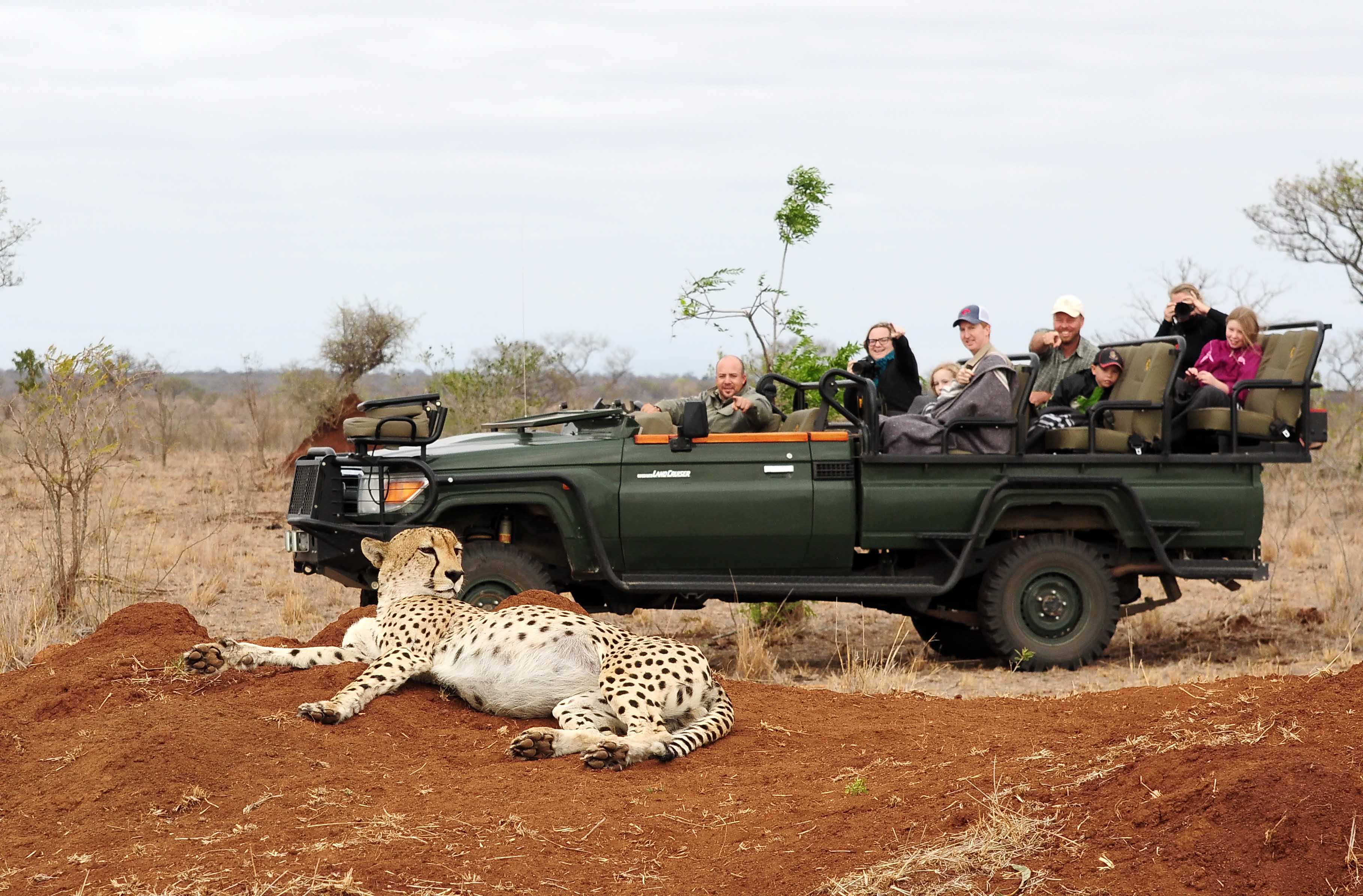 5 Day Kruger Park & Sabi Sands Safari Experience – Best Kruger National Park Safari Tours – Sabi Sands Lodges Reservations – Kruger National Park – Kruger Park Budget Tours