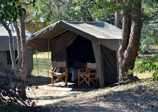 kruger pretoriuskop camping safari tent