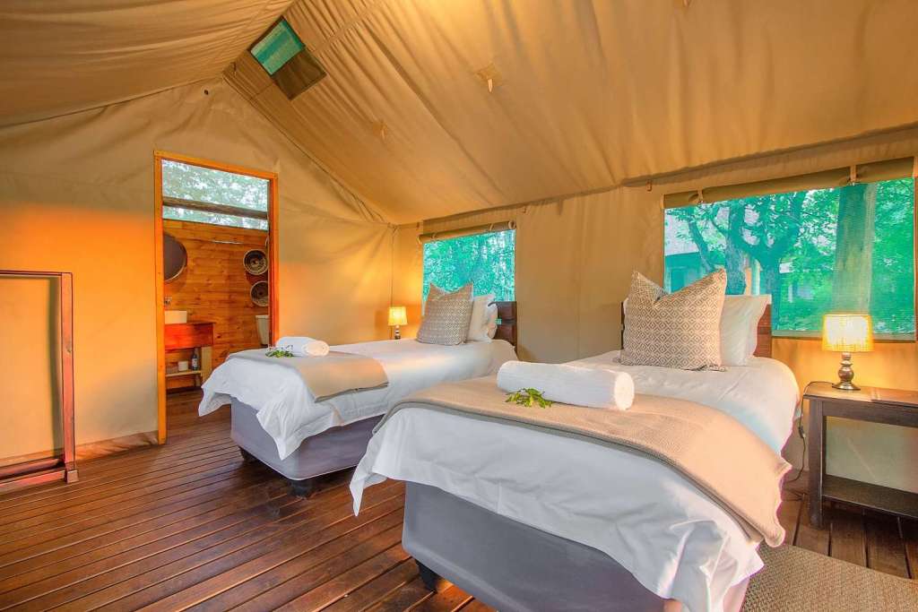 Shindzela Safari Camp – Timbavati Private Reserve – Kruger National Park