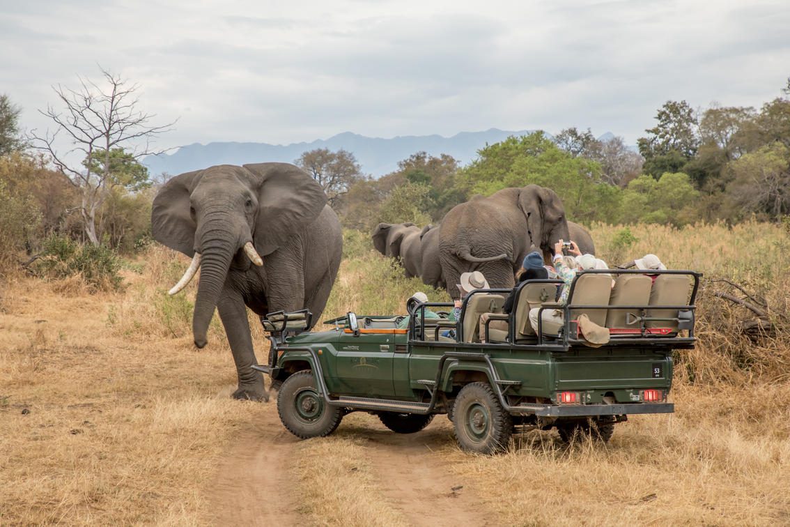 Shiduli Private Lodge – Karongwe – Kruger Private Reserves – Sabi Sands Lodges Reservations