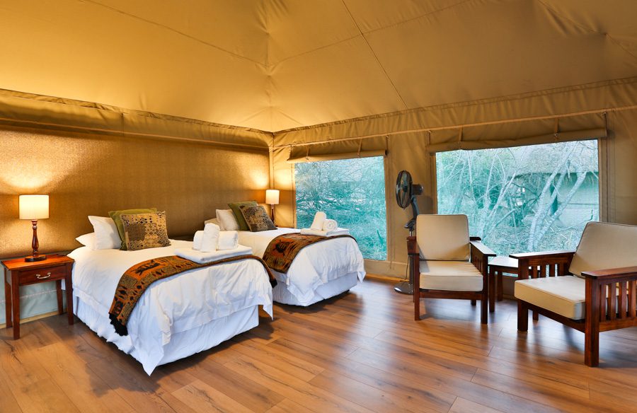 Tangala Safari Camp – Kruger Private Reserves – South Africa
