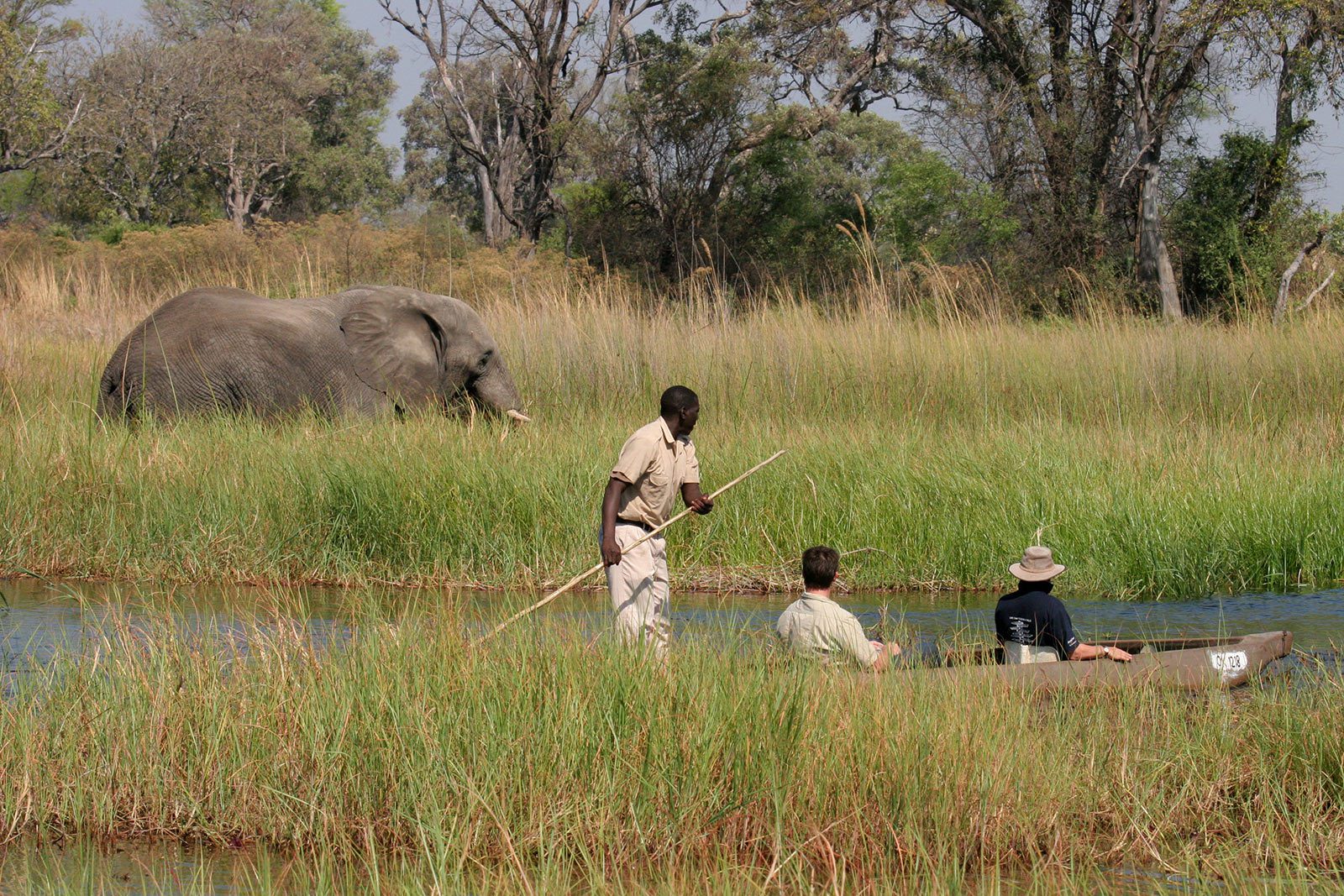Botswana Safari Special Offers – Okavango Delta & Chobe Safari Lodges and Camps – Sabi Sands Lodges Reservations