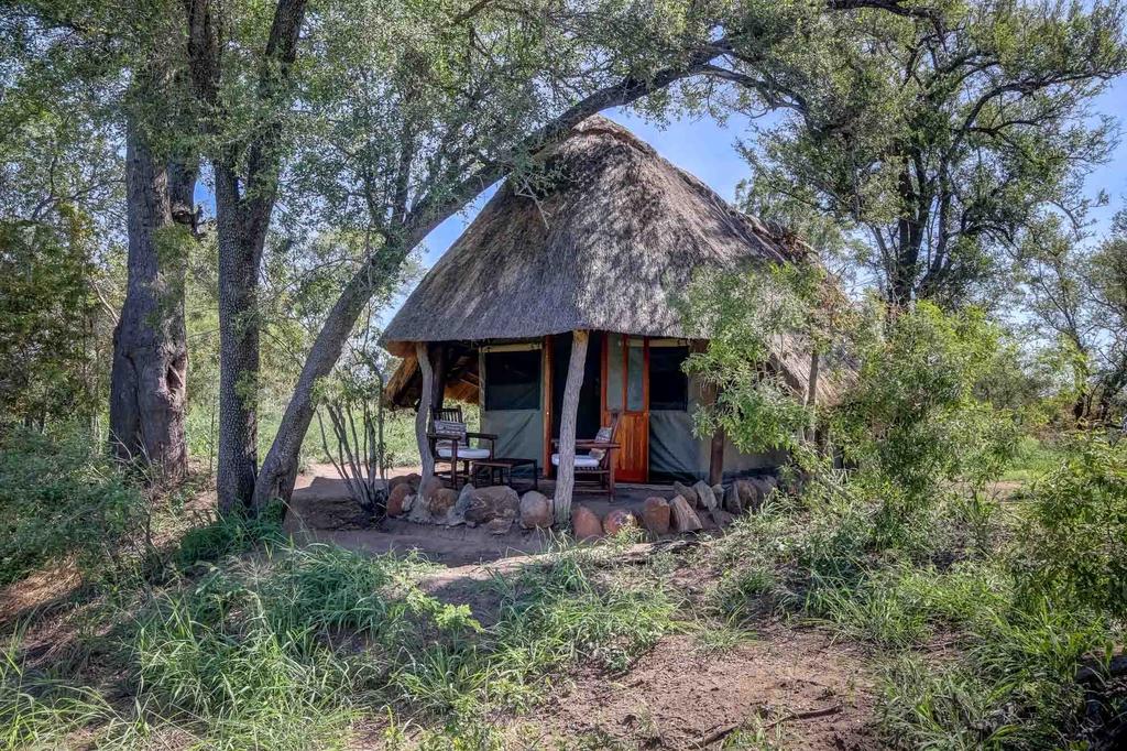 pungwe safari camp manyeleti images 12 1