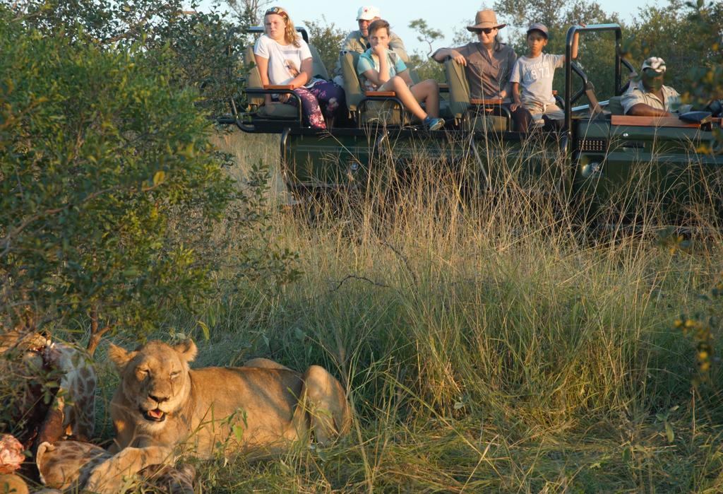 pungwe safari camp manyeleti images 19 1