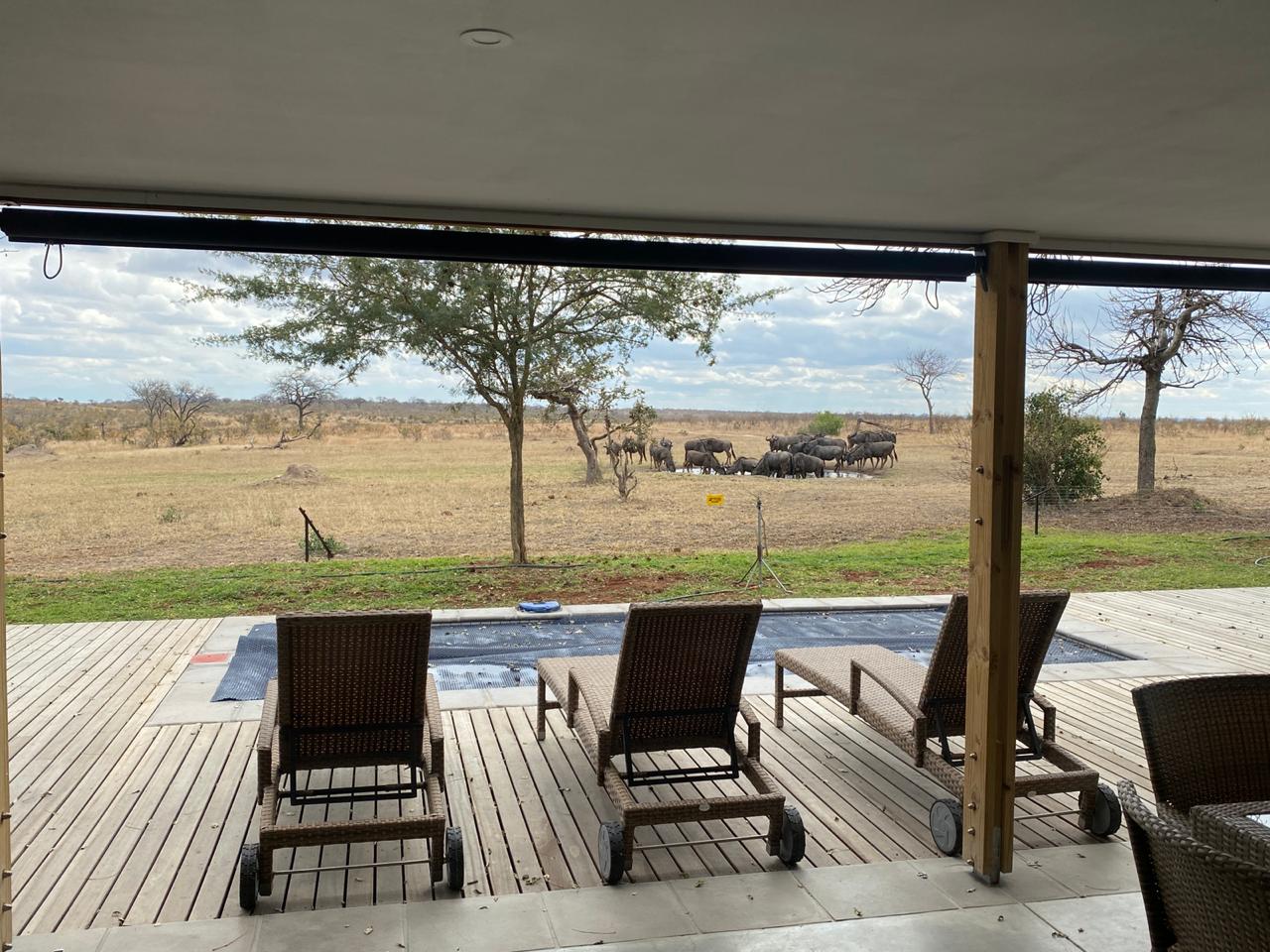 Savanna Directors Karula House –  Sabi Sands Lodges Reservations – Sabi Sands Game Reserve – Self Catering – South Africa